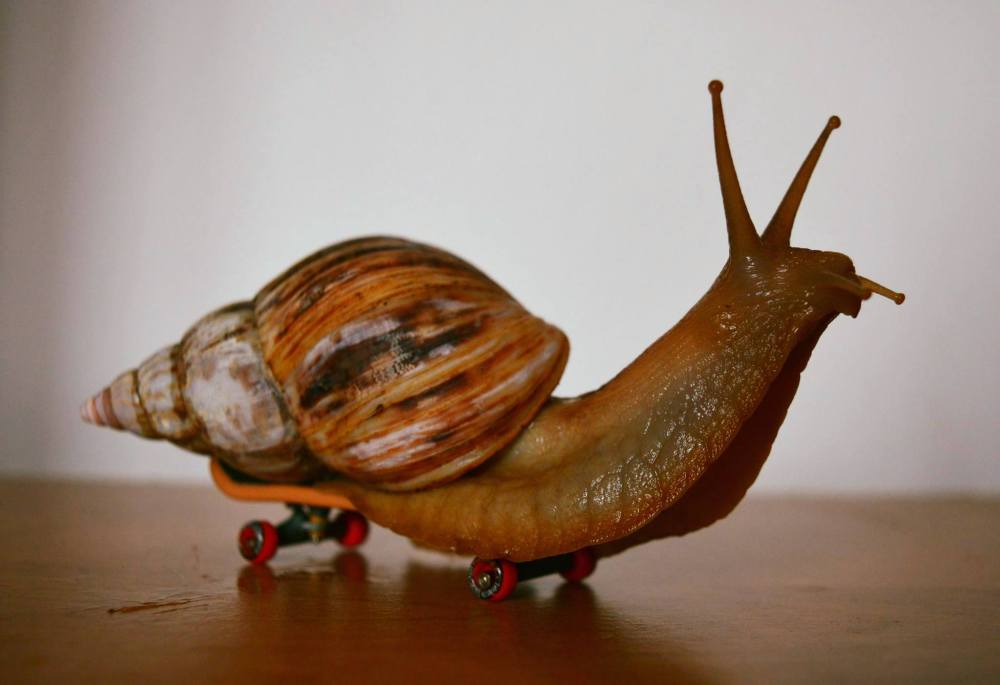 13247888_10154177572173134_59600098467514488_o