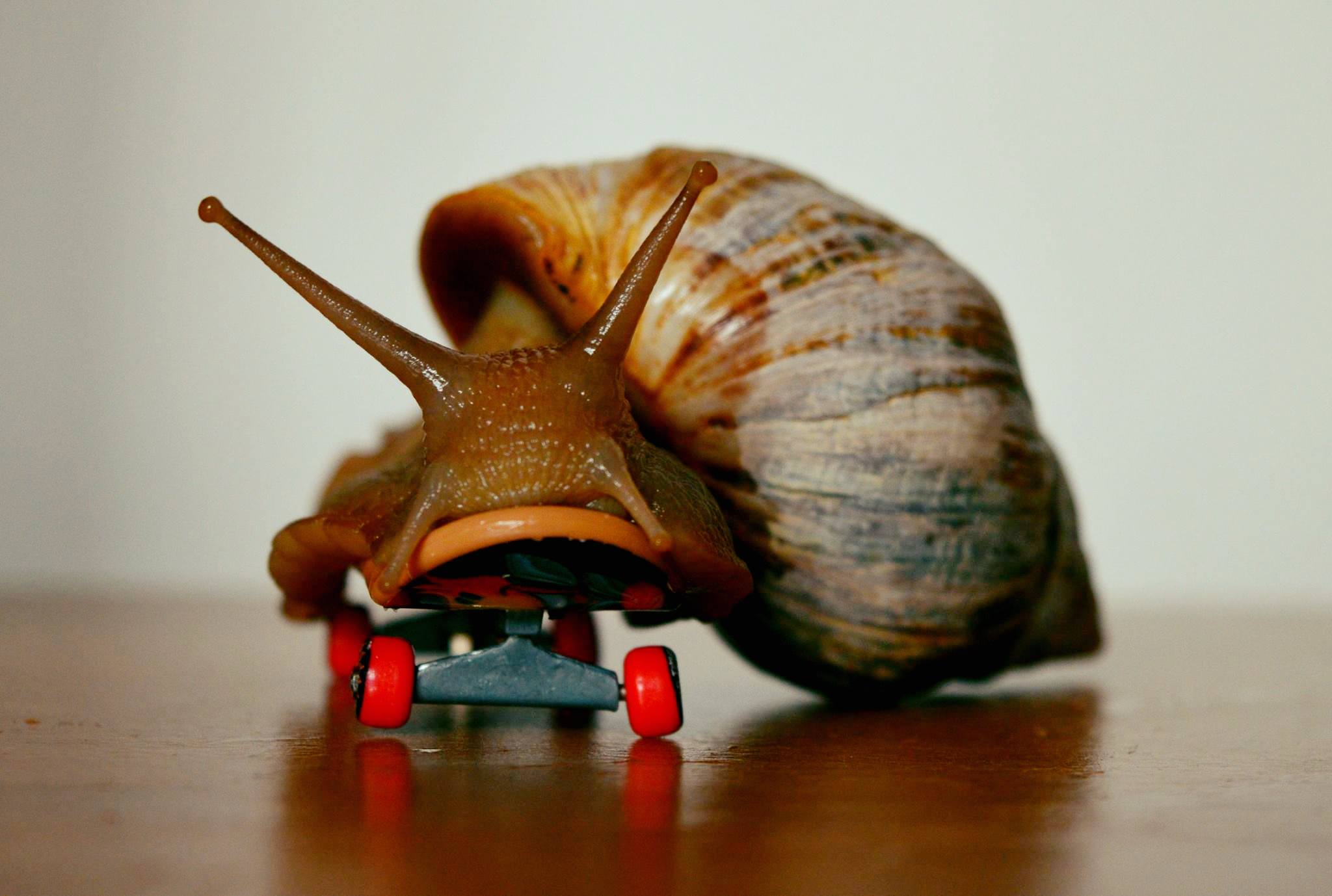 13268352_10154177572643134_3798157955756073223_o