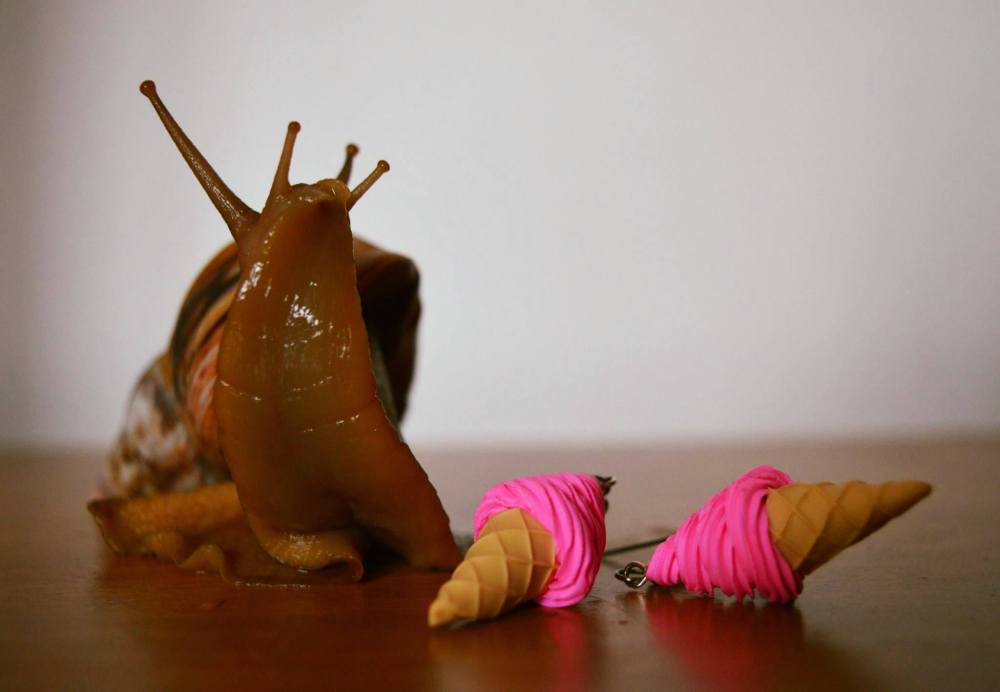 13301276_10154177567703134_5264521308109199618_o