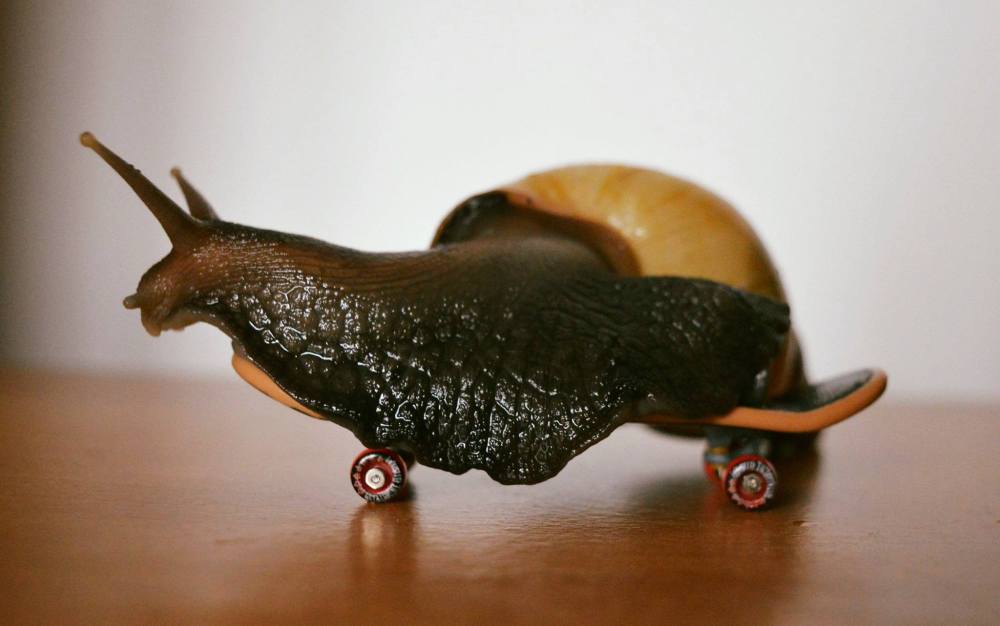 13301501_10154177572523134_6641085286208219059_o