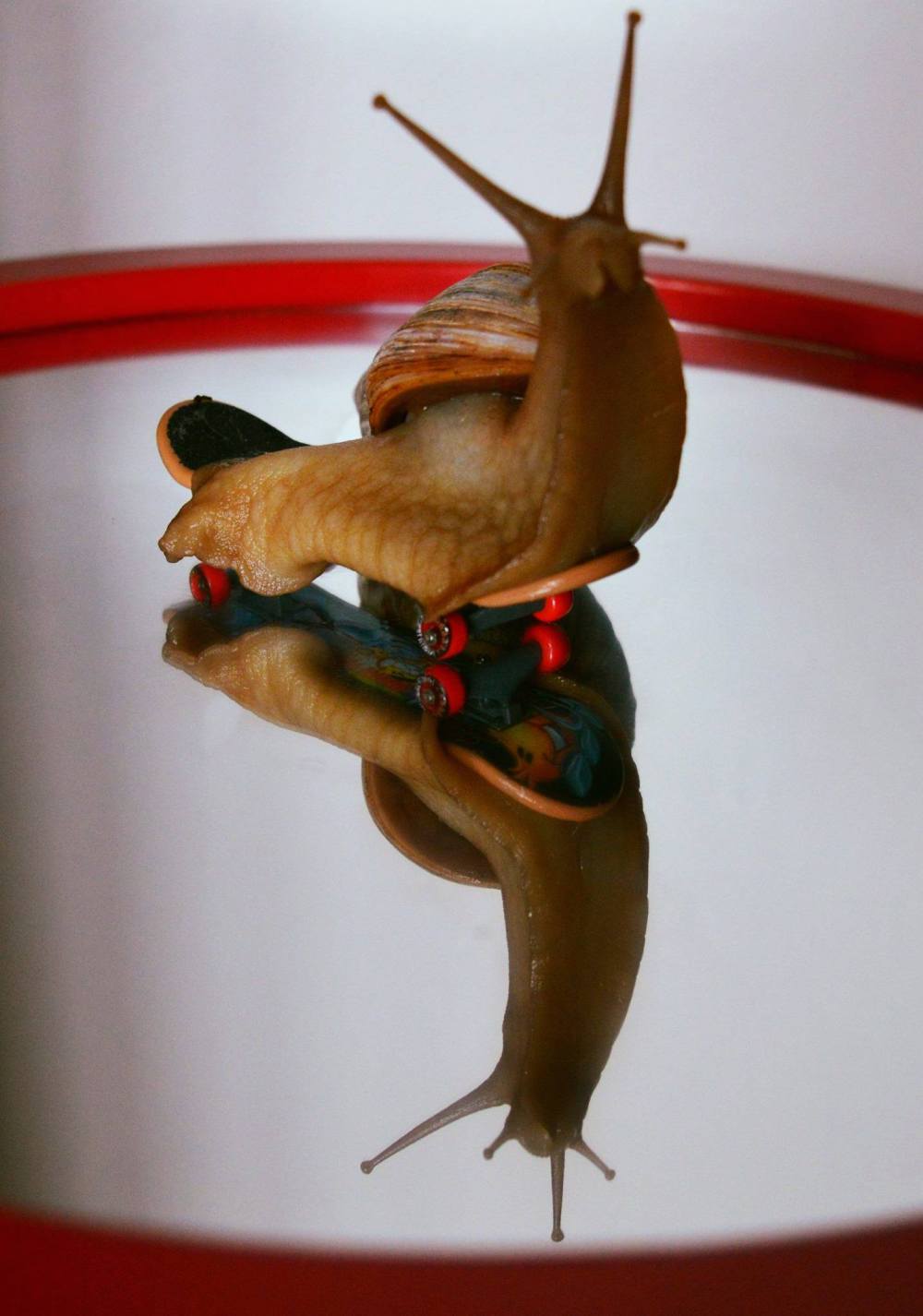 13305138_10154177570423134_712426582236154358_o