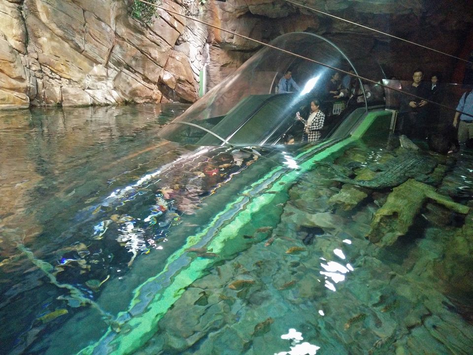 15301290_10157809459625503_26679808_n