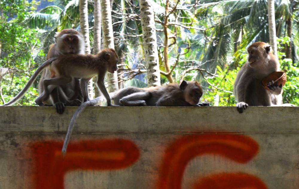 15844616_10154868225178134_257402437849762648_o