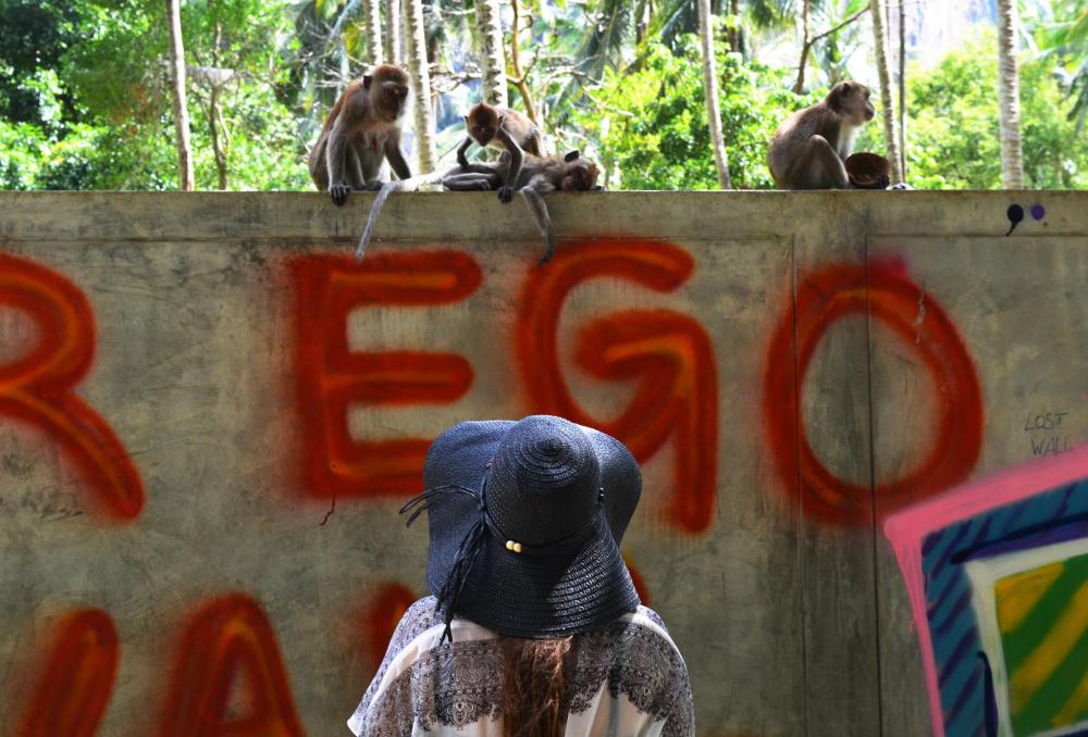 15875184_10154868232803134_7149033573753153585_o