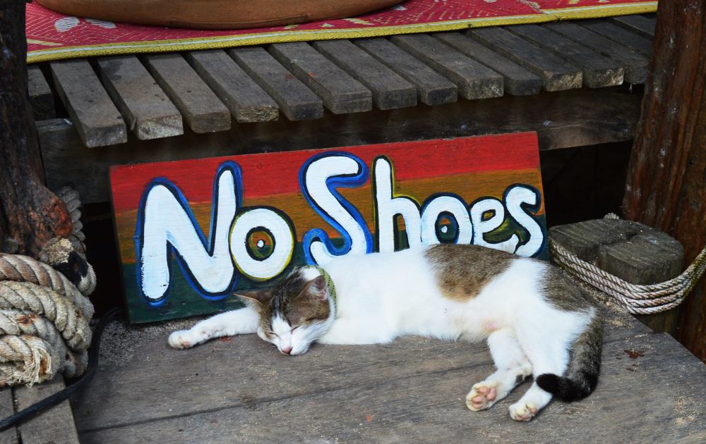 15875362_10154868187488134_2112474582564784343_o