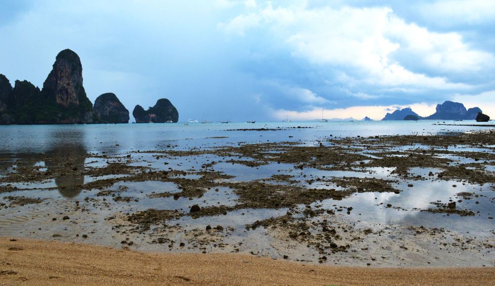 15875473_10154868154363134_2537339792779993730_o