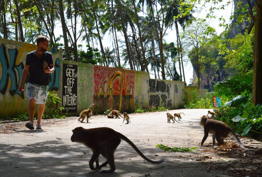 15896299_10154868235083134_201520923796842183_o