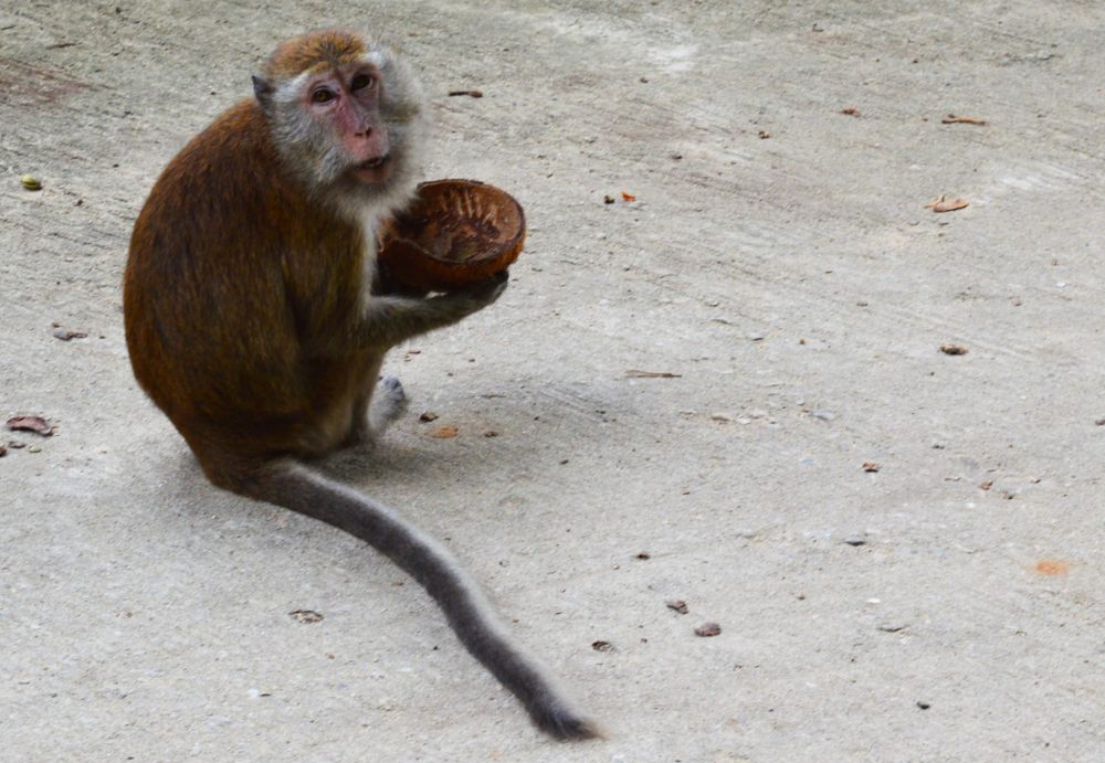 15936844_10154868203528134_4991377634157044860_o