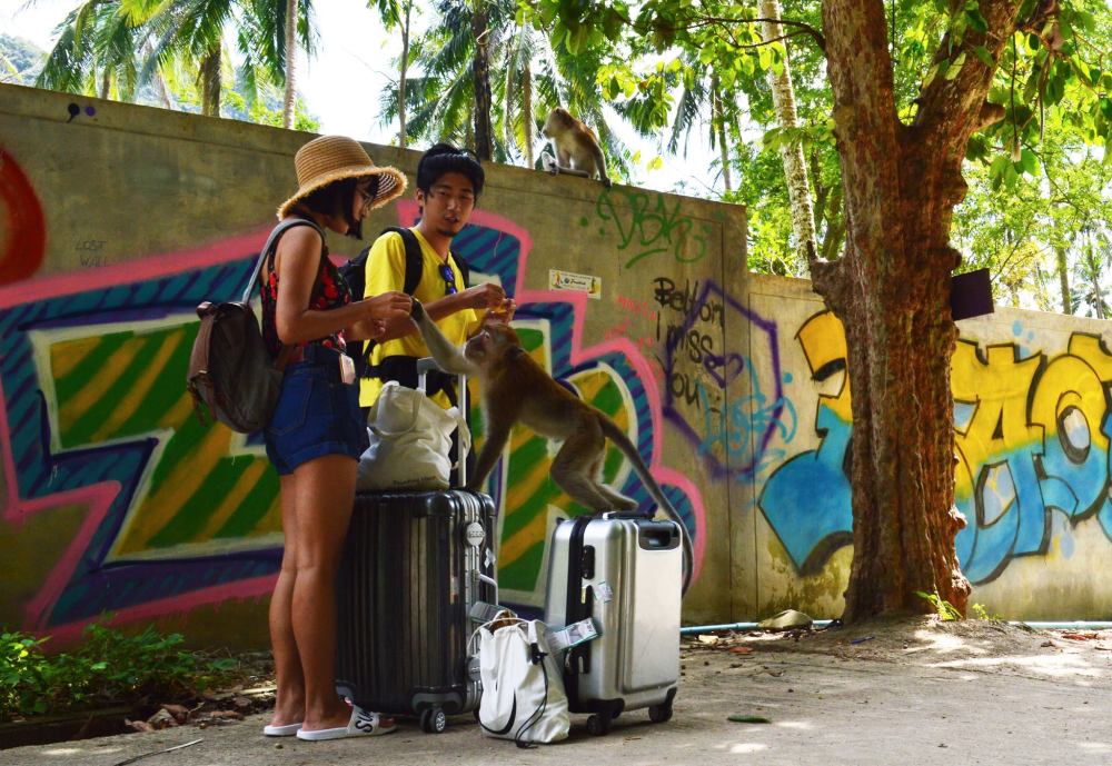 15937172_10154868228203134_6114152749887755047_o