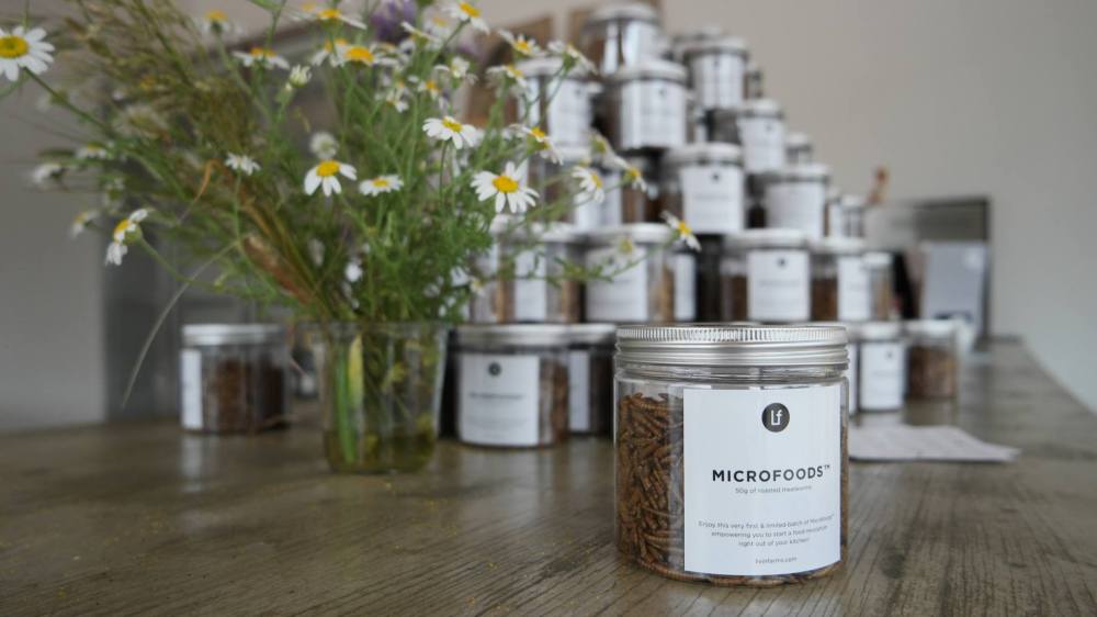 13323300_1553119901656428_5494403341036425542_o