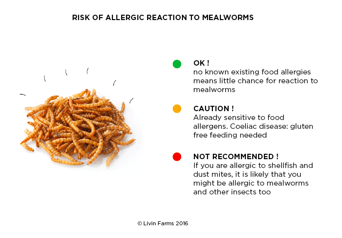 13872678_1571511709817247_2025211817547982704_n