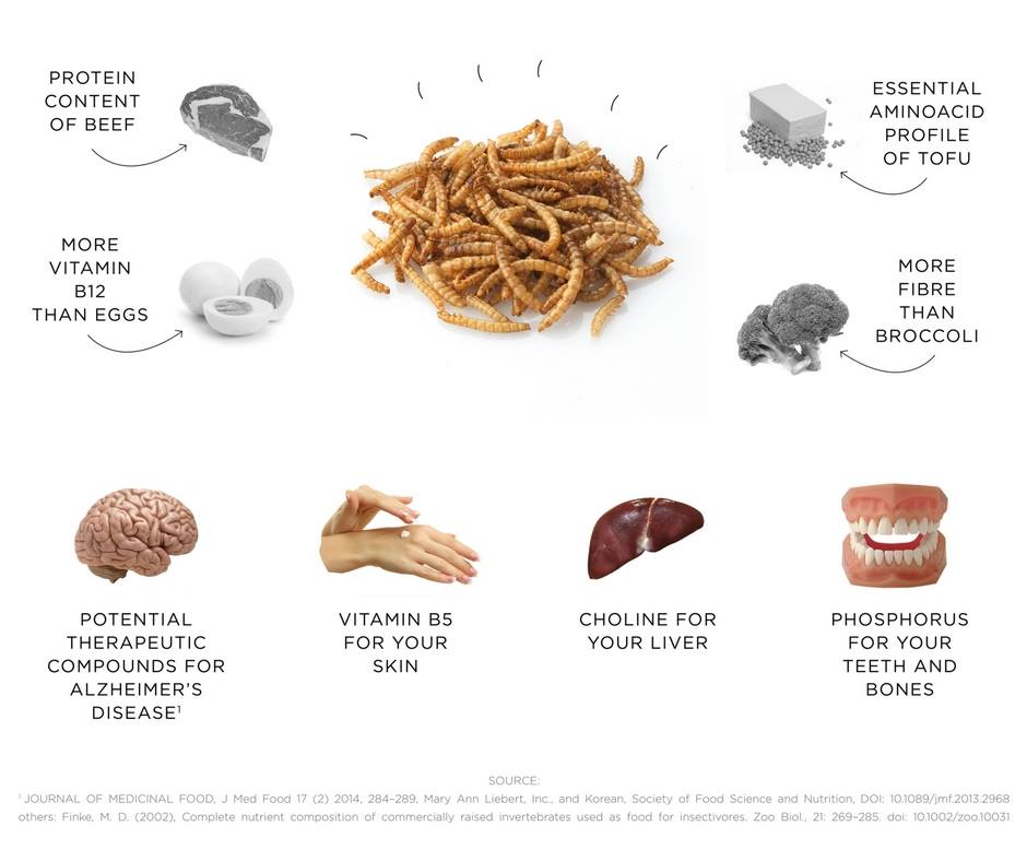 17992281_1674645866170497_1580440025629938291_n