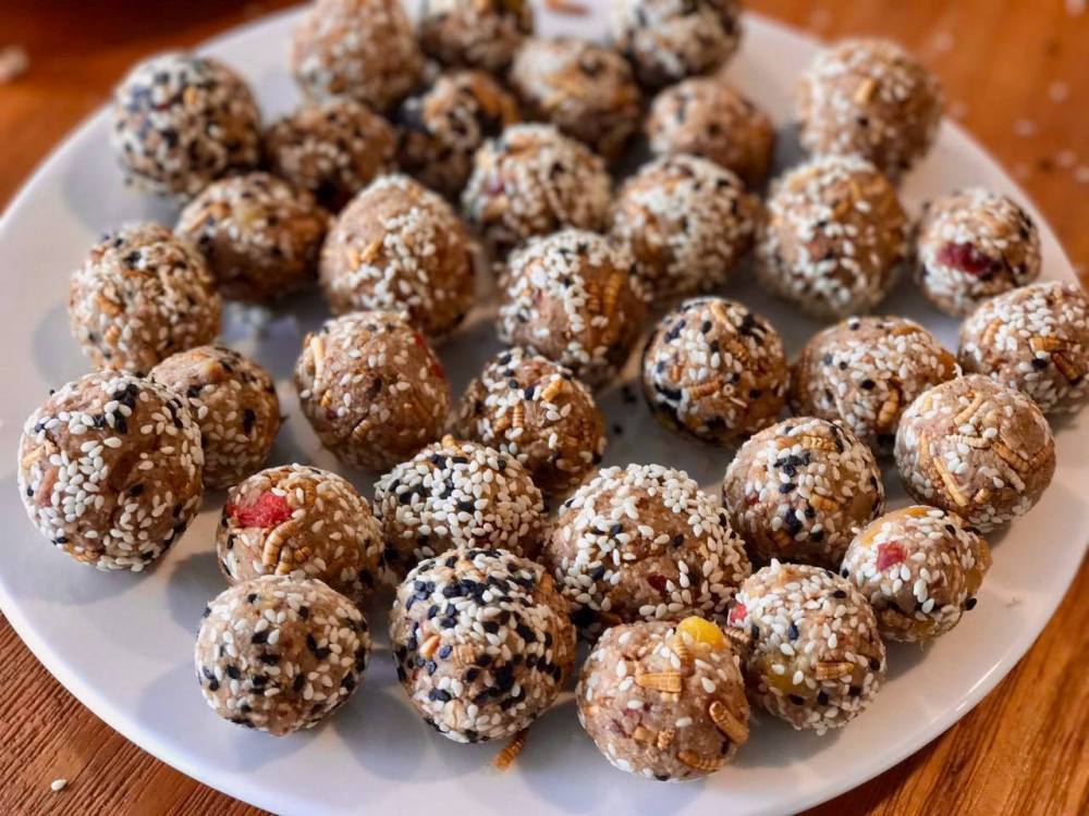 18216569_1680674942234256_4770974386158741651_o