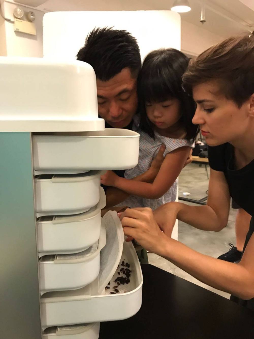 20507270_1717617638539986_2701828849591824169_o