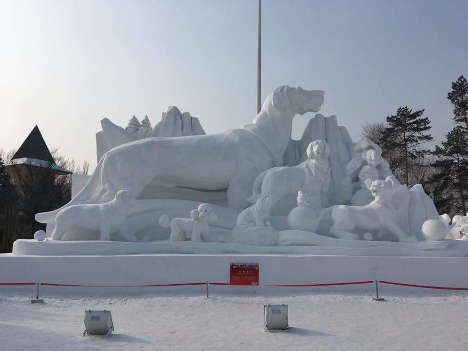 FB_IMG_1517802930628