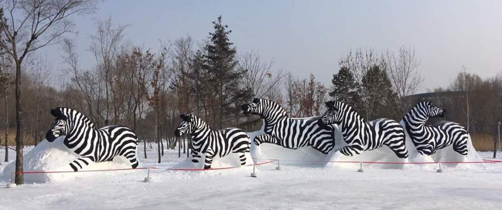 FB_IMG_1517802945456