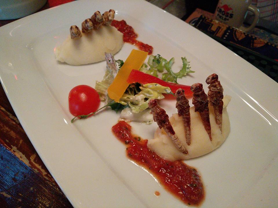 12688353_10153888673878134_5540400041182118919_n