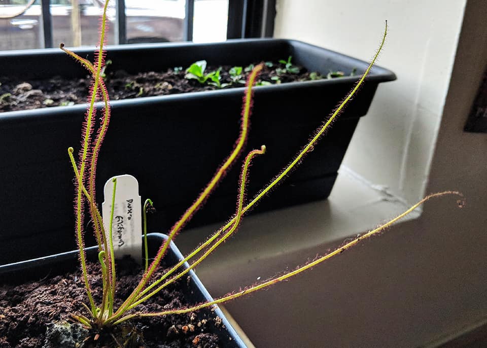 43354530_10156700983508134_3954789432137089024_n