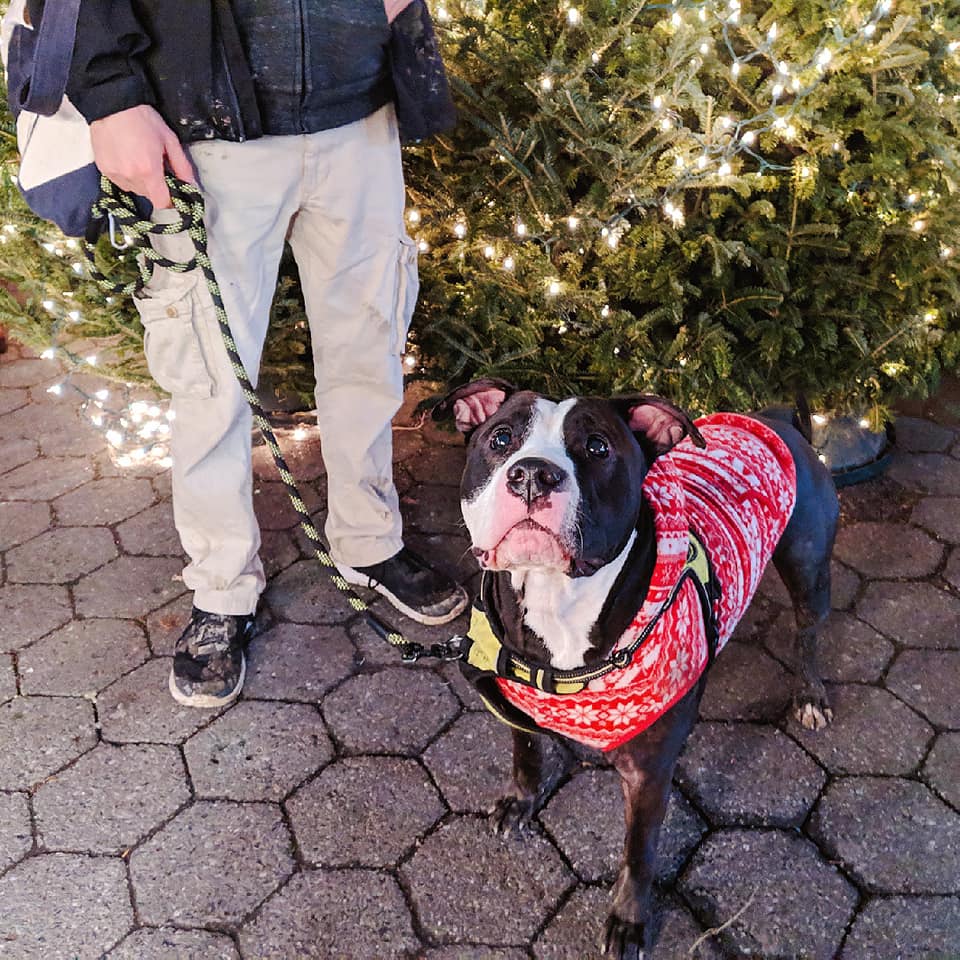 48403598_10156862482178134_6223322391162912768_n