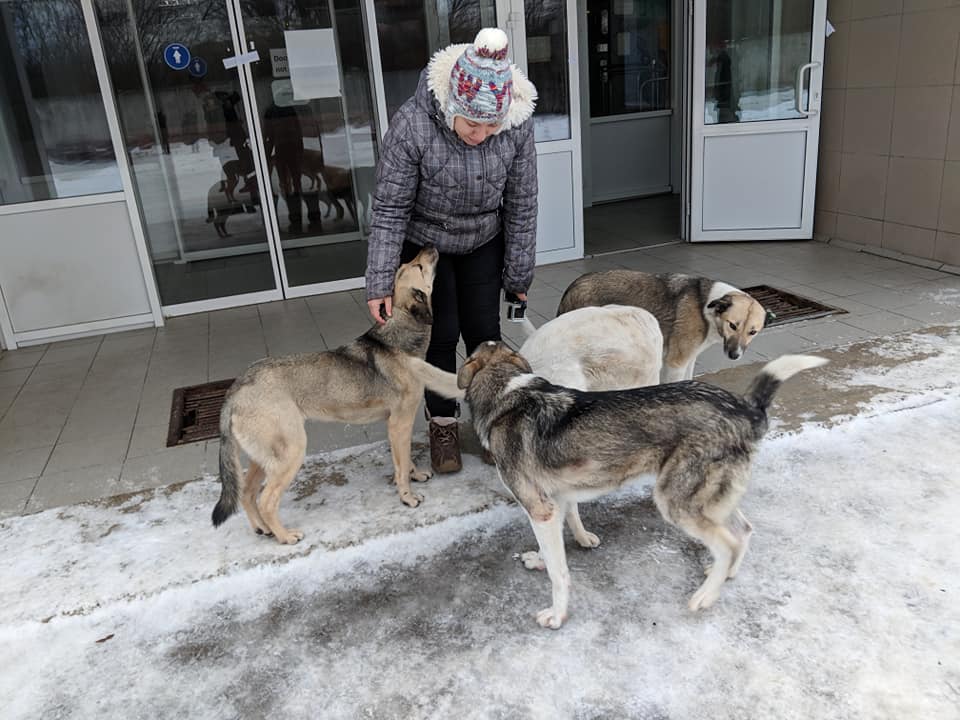 48917535_10161231365200503_6073527306406592512_n