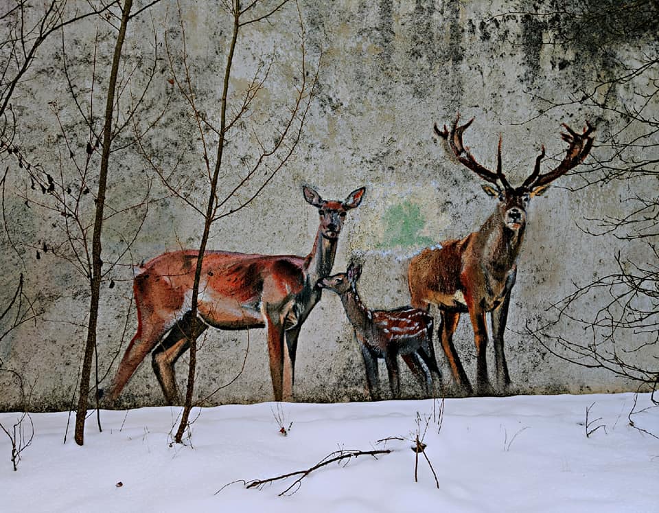 49051965_10156890697298134_8251614597845352448_n