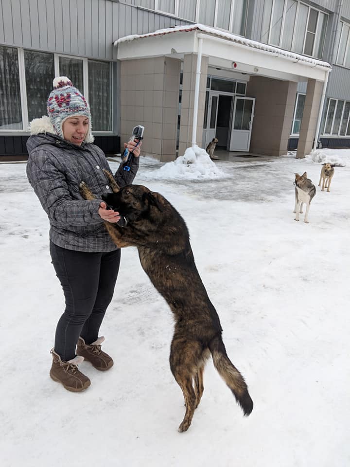 49178139_10161231365585503_4475320527606513664_n