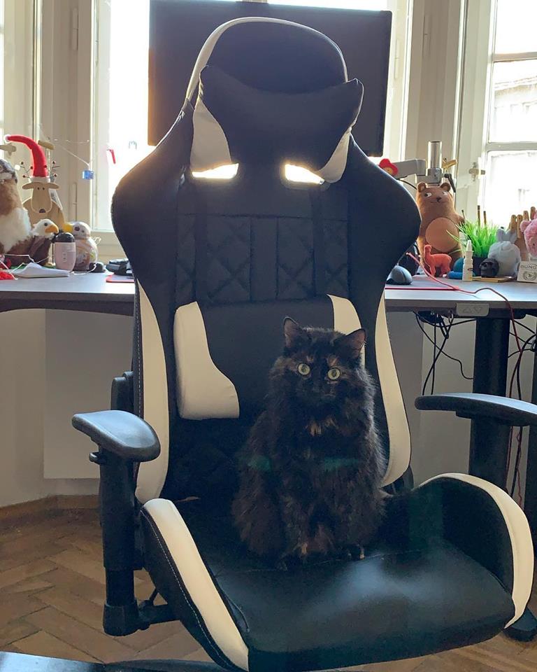 50620520_10213182122208432_4454267740382822400_n