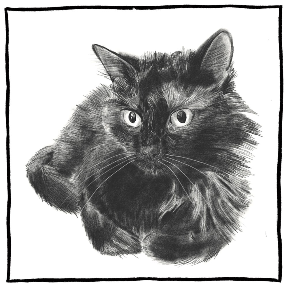 Varezka pencil sketch