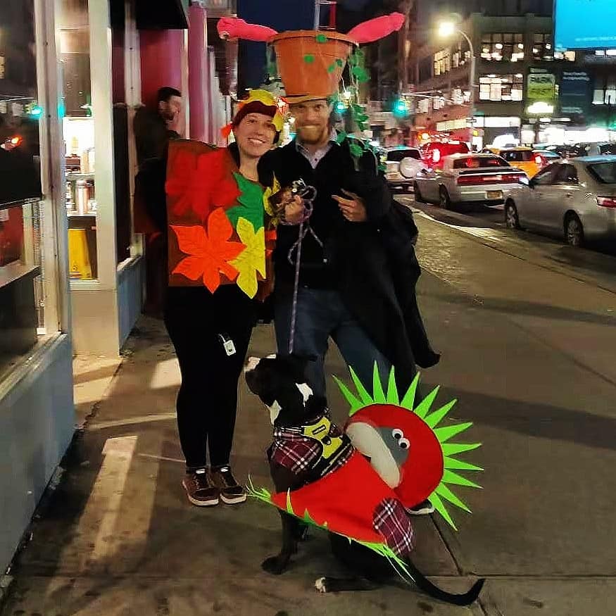 45178862_249712639039704_1376719786406313984_n