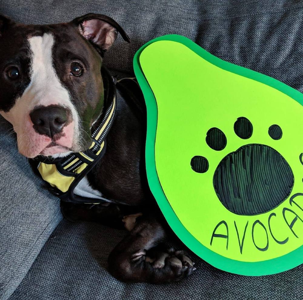 45233601_249710812373220_3697901287770161152_o