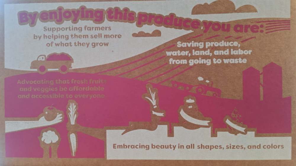 72976201_1154376328286440_6021564124884893696_n