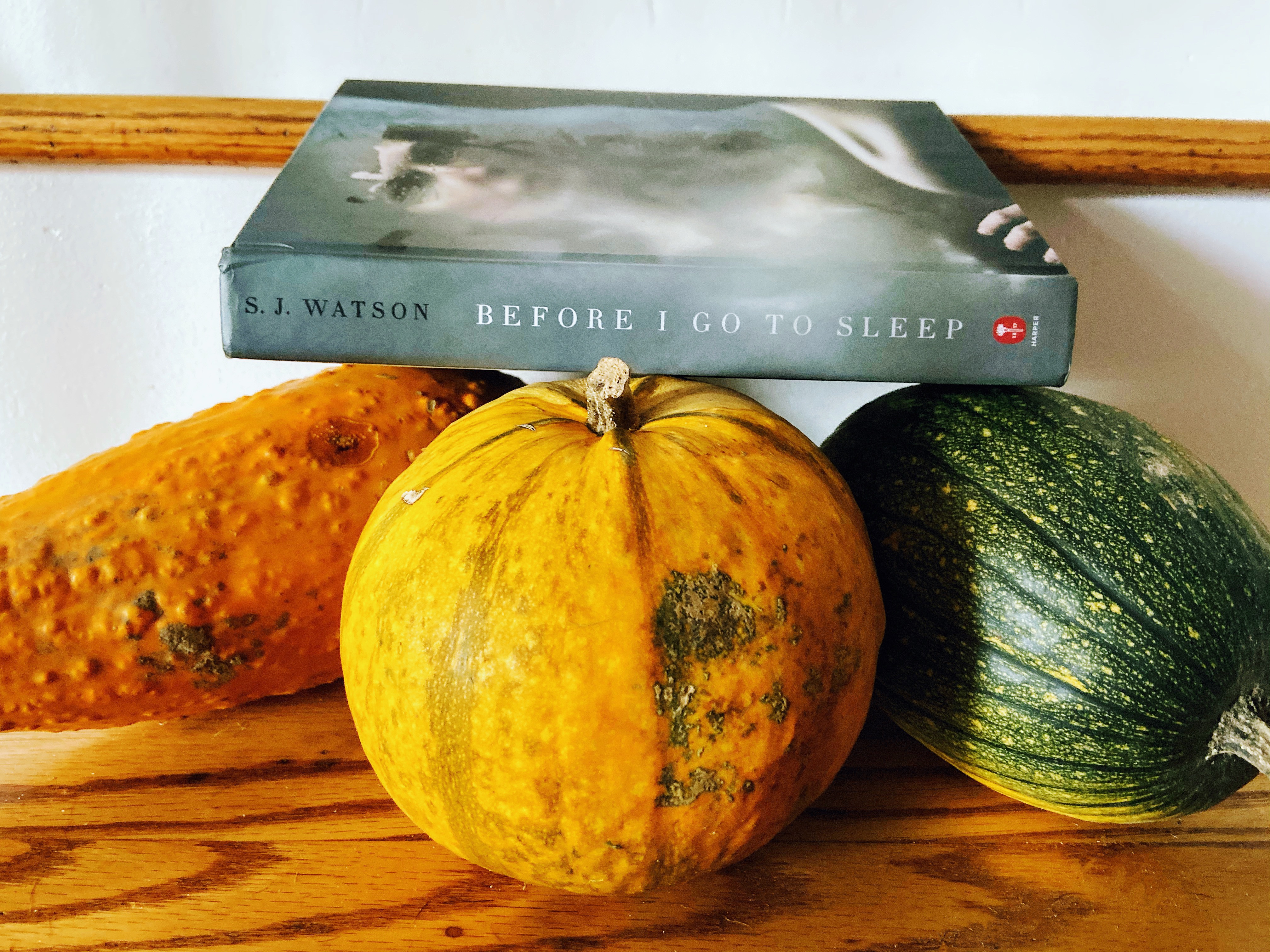 Before I Go To Sleep by S.J. Watson