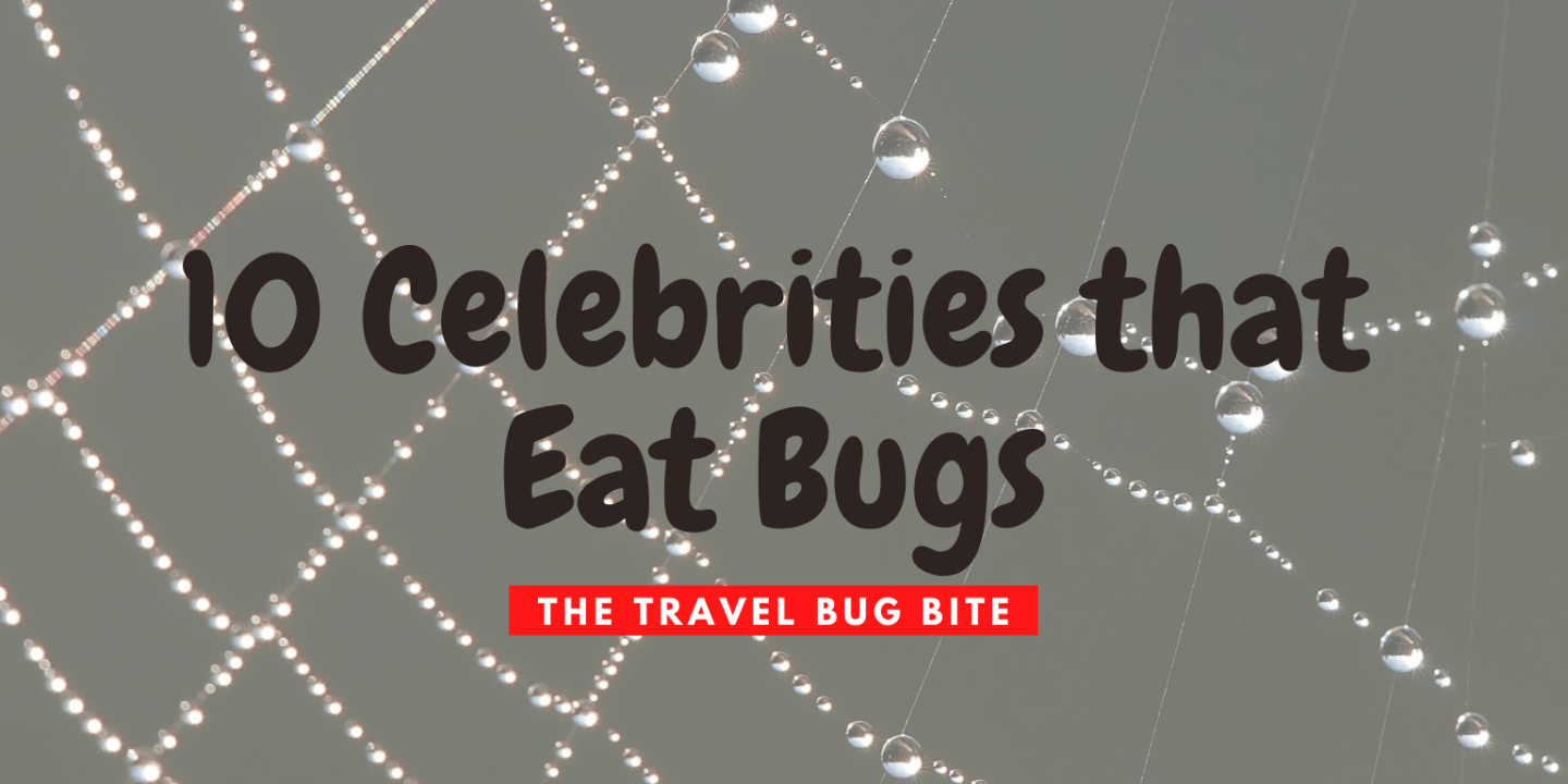 10 Celebrities that Eat Bugs – TheTravelBugBite